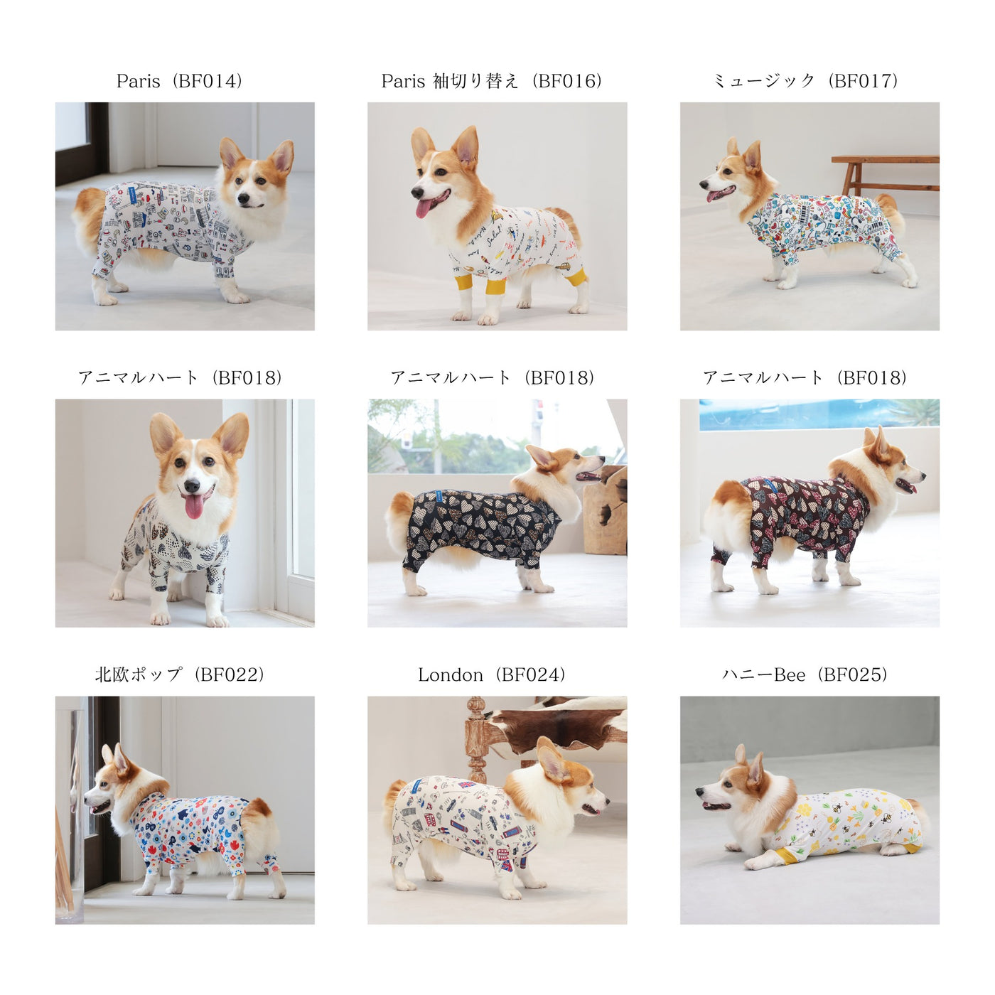 【新入荷】カラフルロンパース 胴長・短足わんちゃん向け