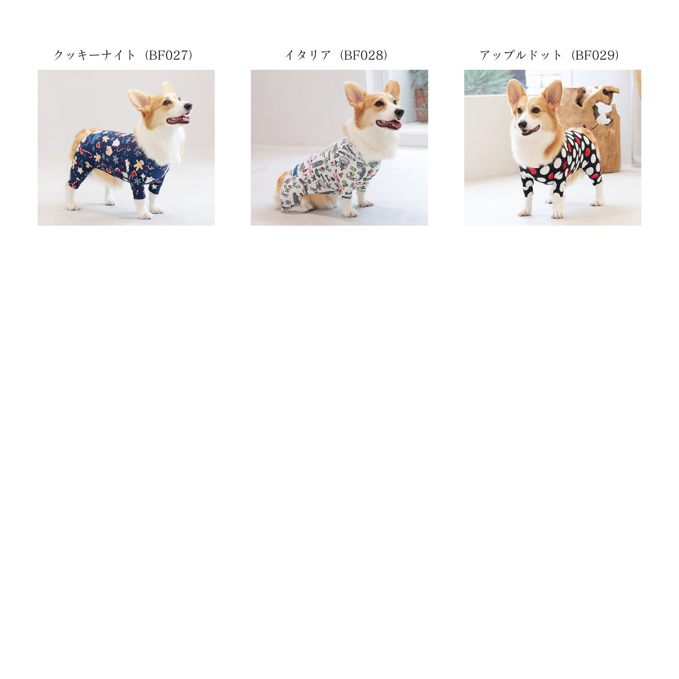 【新入荷】カラフルロンパース 胴長・短足わんちゃん向け