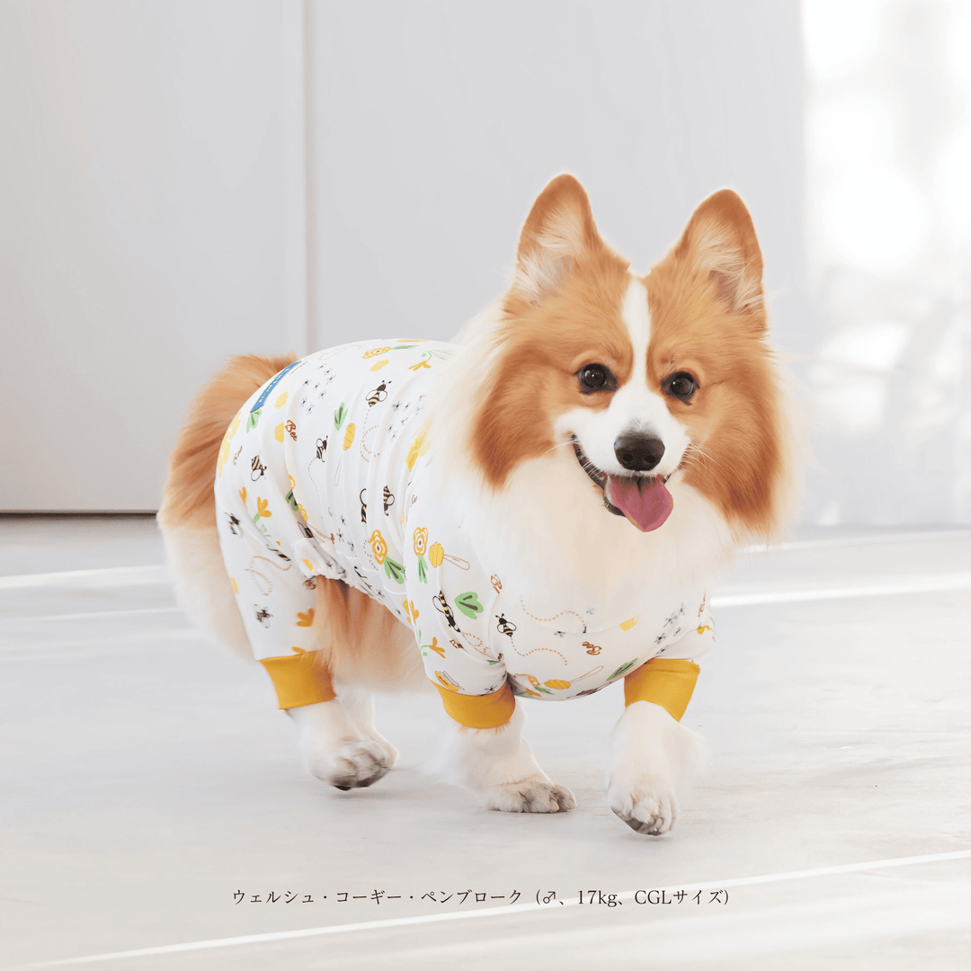 手乗りサイズのコーギーさん♪ Buzz Factory バズファクトリー カラフルロンパース 胴長・短足わん