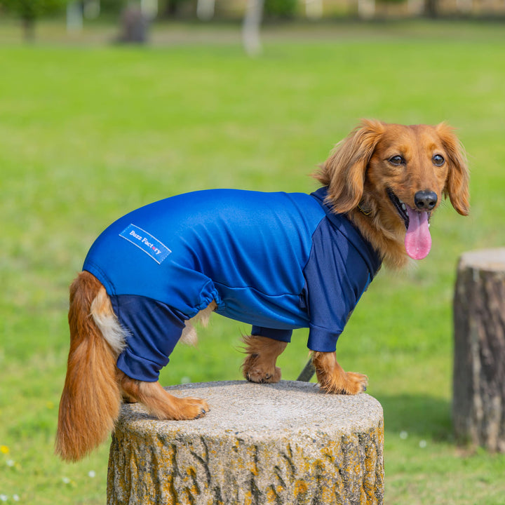 Buzz Factory バズファクトリー ストレッチロンパース 日本製 ドッグ