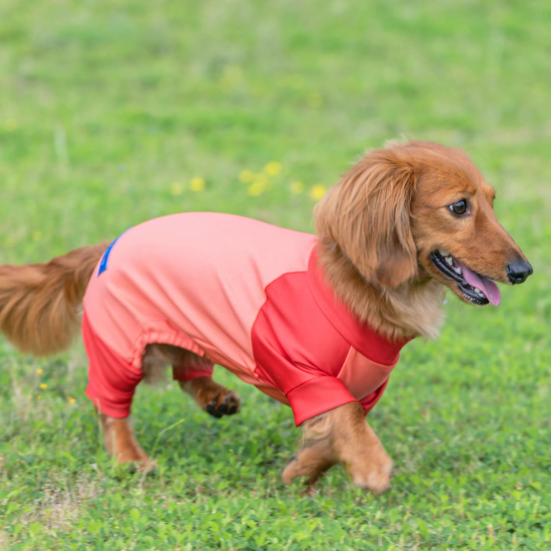 Buzz Factory バズファクトリー ストレッチロンパース 日本製 ドッグ