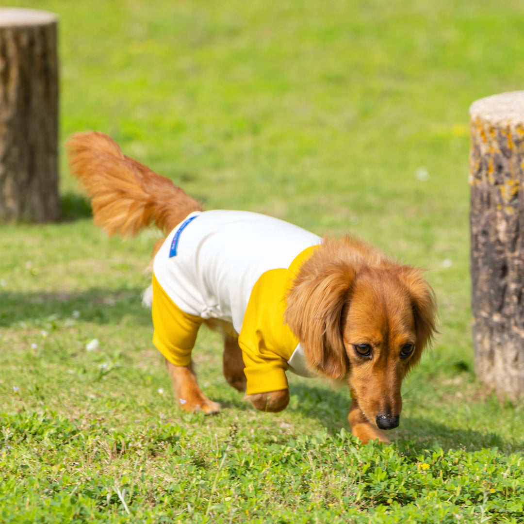 Buzz Factory バズファクトリー ストレッチロンパース 日本製 ドッグ