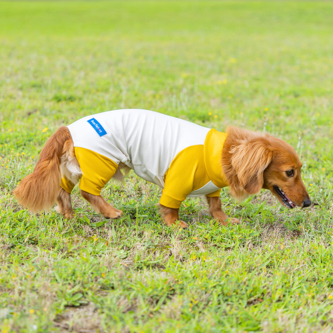フィジー2022年ドック草原を駆け抜ける犬1オンス新品カプセル入り フィジー2022年ドック草原を駆け抜ける犬1オンス新品カプセル入り