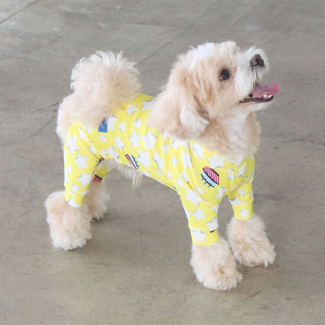 ペット用ダウン　キラキラ　ペア　トイプードル　サイズSS 楽天市場】アクティブロンパース 復刻カラー 犬用ラッシュガード