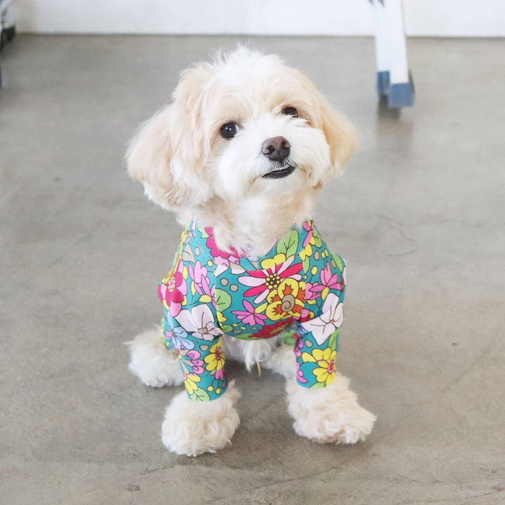 VeeFriends ノーブル ヌンバット ブルー　/299 PSA 限定 THE NORTH FACE｜【公式】ウォータープルーフホライズンハット