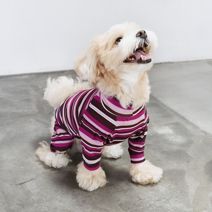 犬刺繍ピンクロングルームウェア Buzz Factory バズファクトリー カラフルロンパース ボーダー 日本製