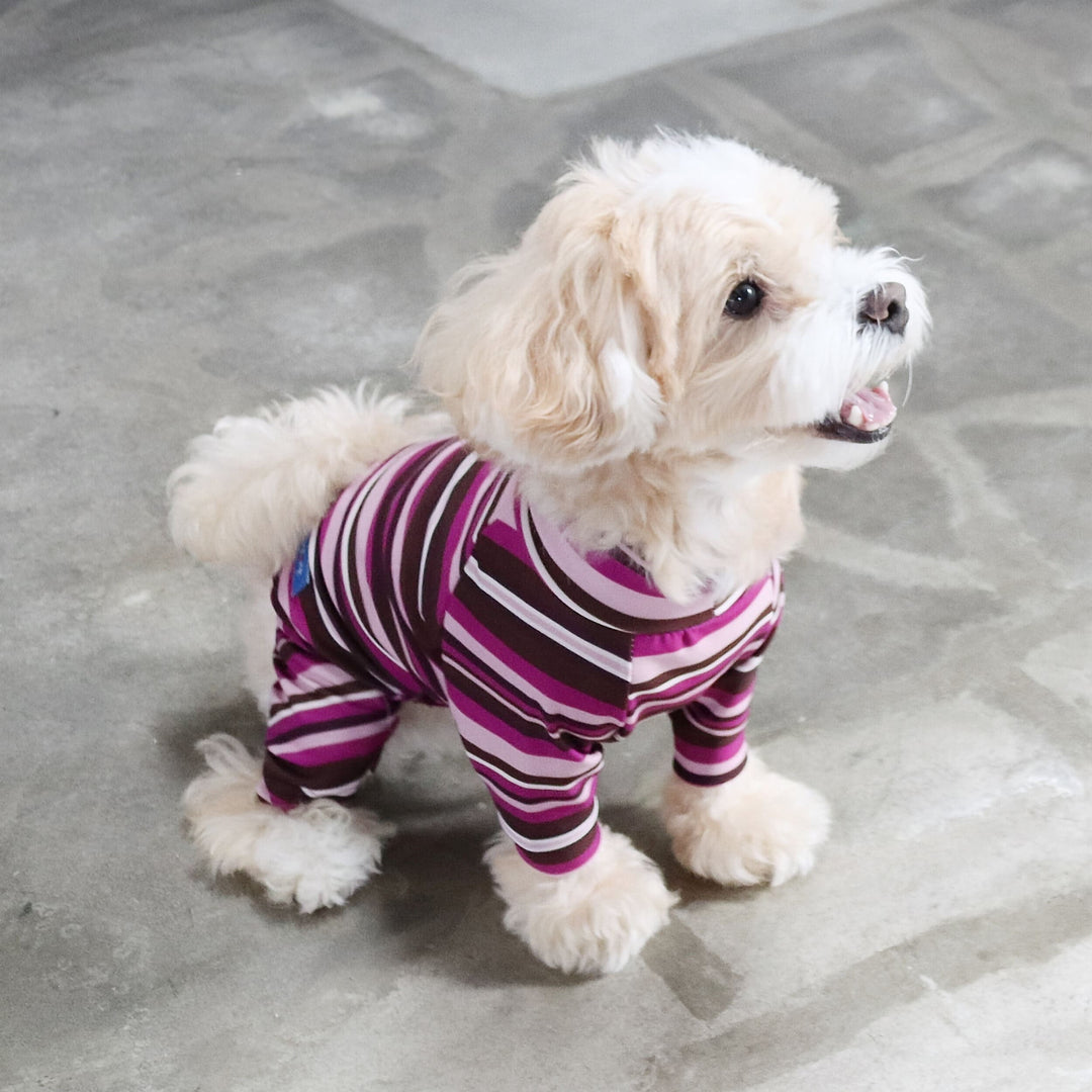 for pets only フォーペッツオンリー DOG POWER ロンパース Buzz Factory バズファクトリー カラフルロンパース ボーダー 日本製