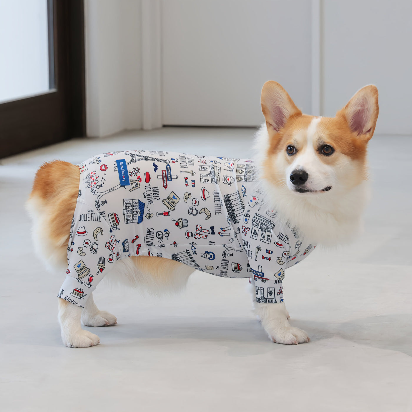 【新入荷】カラフルロンパース 胴長・短足わんちゃん向け