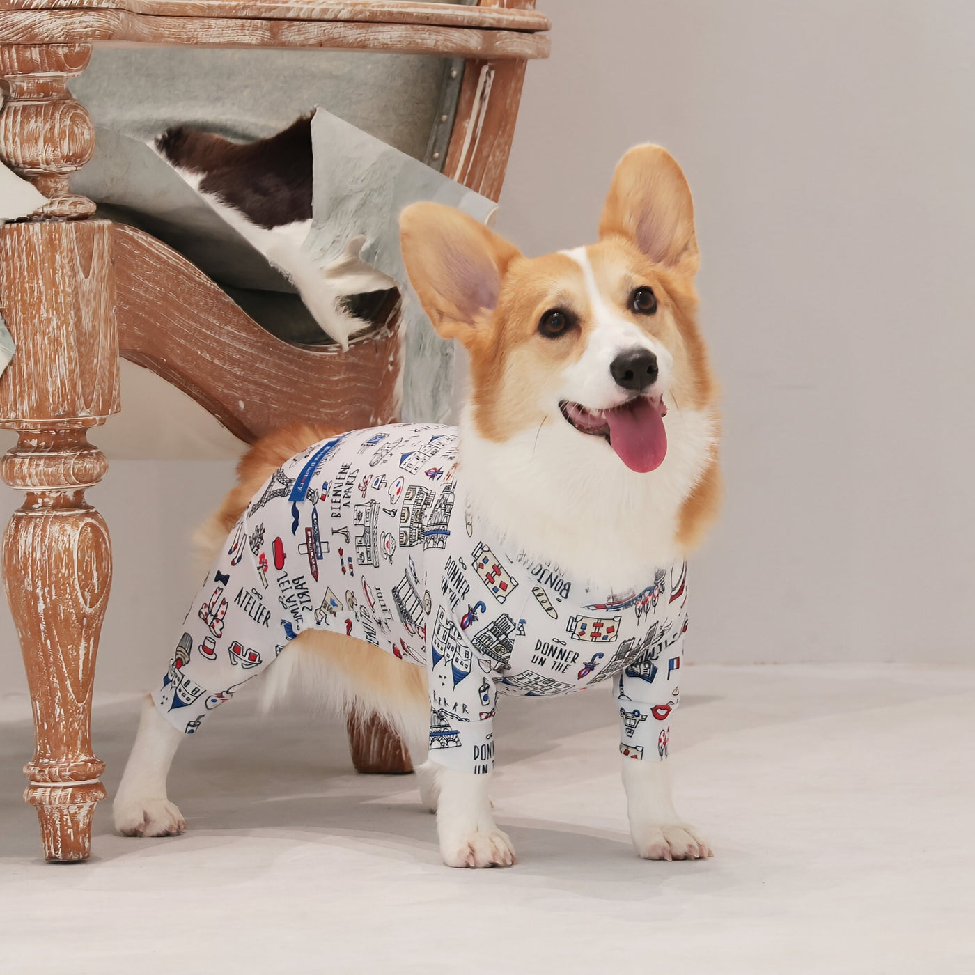 【新入荷】カラフルロンパース 胴長・短足わんちゃん向け