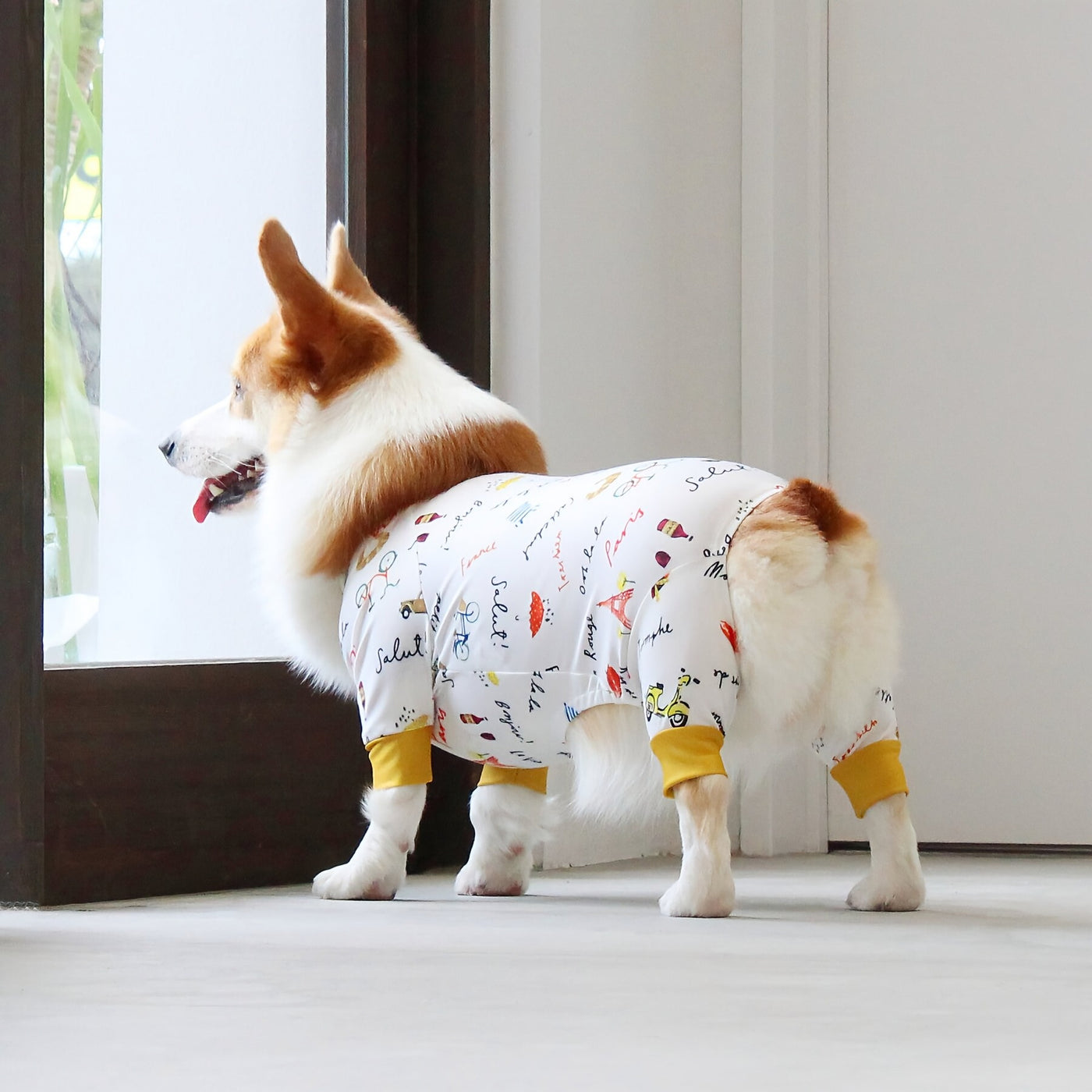 【新入荷】カラフルロンパース 胴長・短足わんちゃん向け