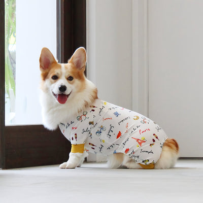 【新入荷】カラフルロンパース 胴長・短足わんちゃん向け