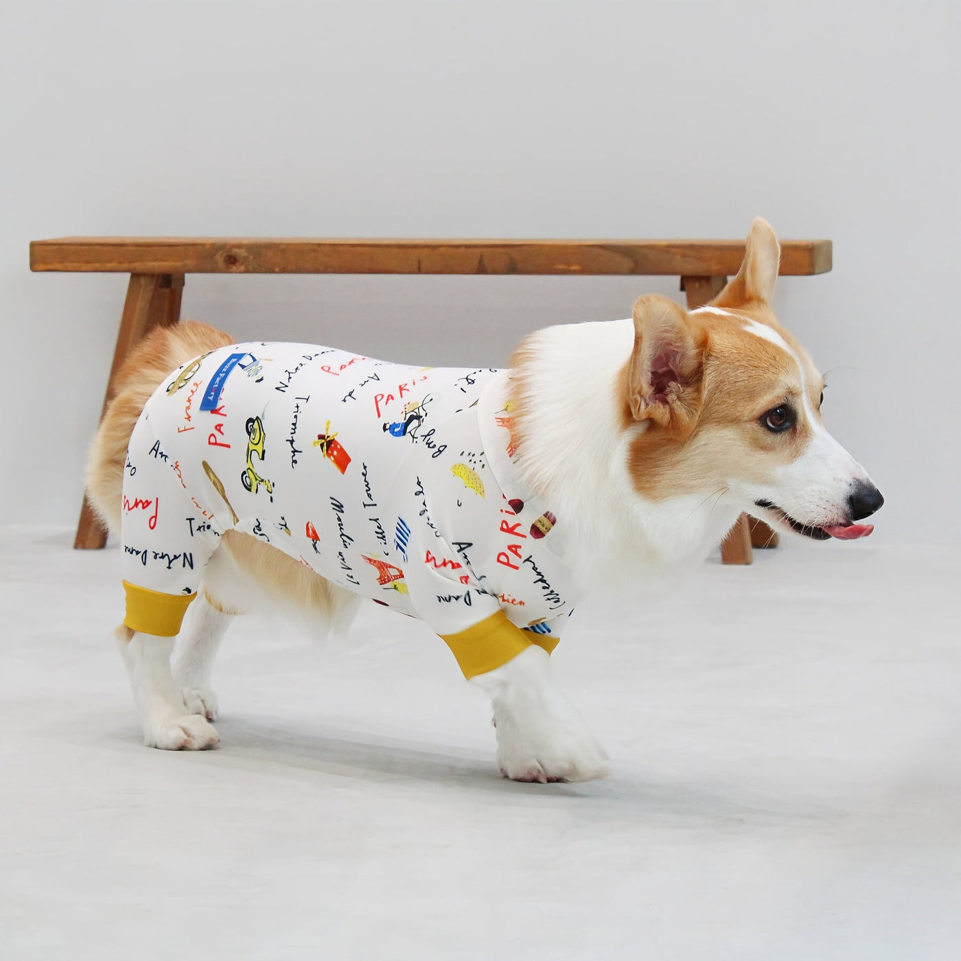 【新入荷】カラフルロンパース 胴長・短足わんちゃん向け