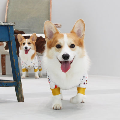 【新入荷】カラフルロンパース 胴長・短足わんちゃん向け