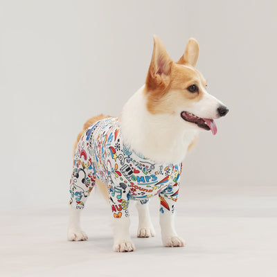 【新入荷】カラフルロンパース 胴長・短足わんちゃん向け