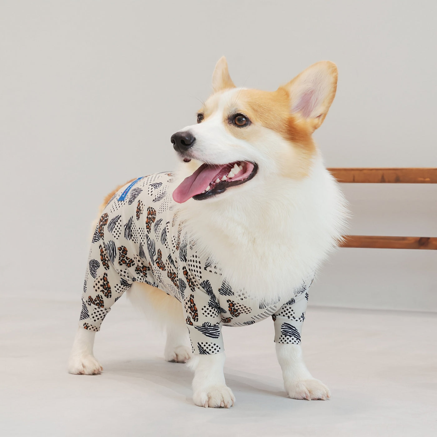 【新入荷】カラフルロンパース 胴長・短足わんちゃん向け