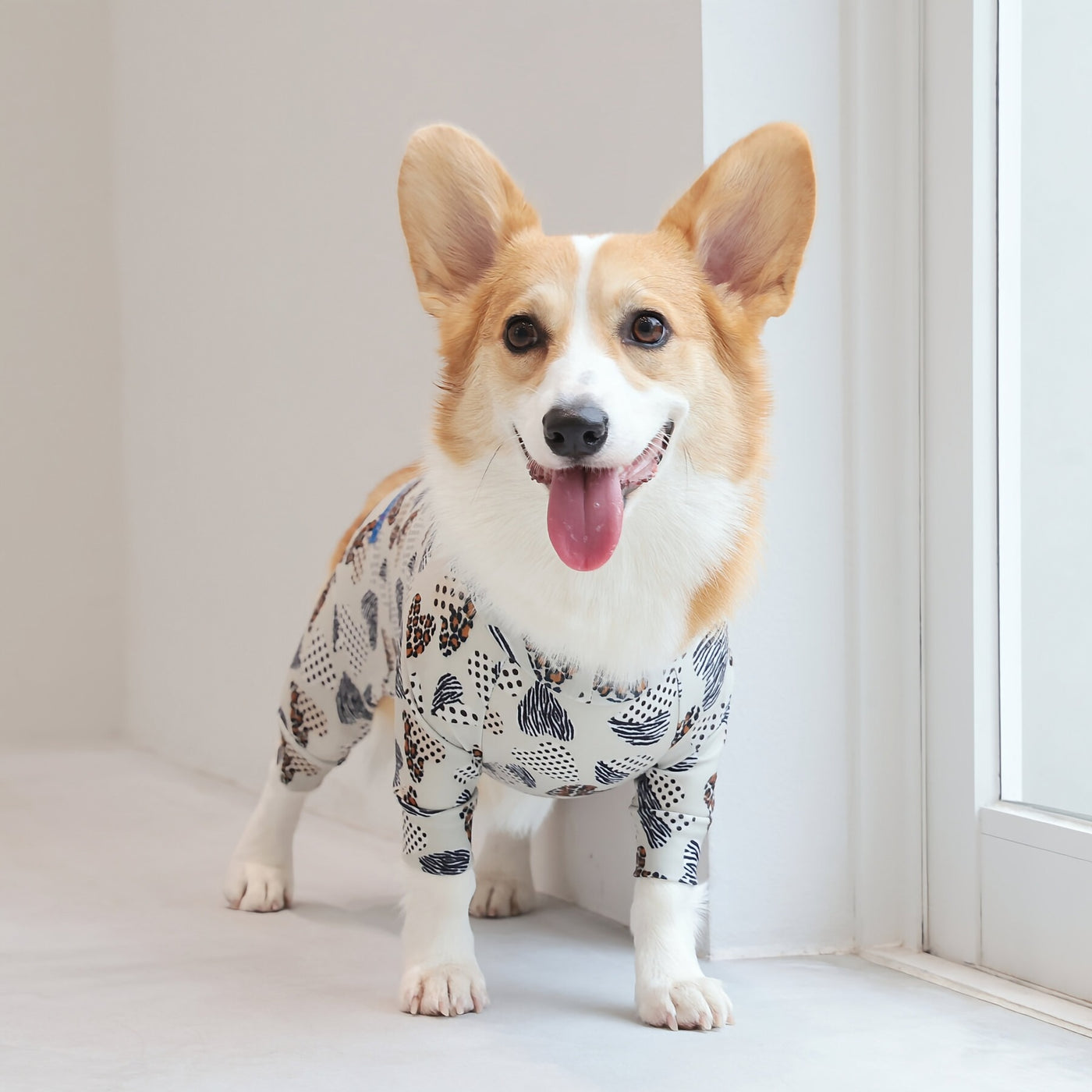 【新入荷】カラフルロンパース 胴長・短足わんちゃん向け