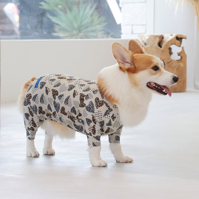 【新入荷】カラフルロンパース 胴長・短足わんちゃん向け