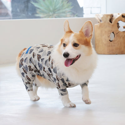 【新入荷】カラフルロンパース 胴長・短足わんちゃん向け