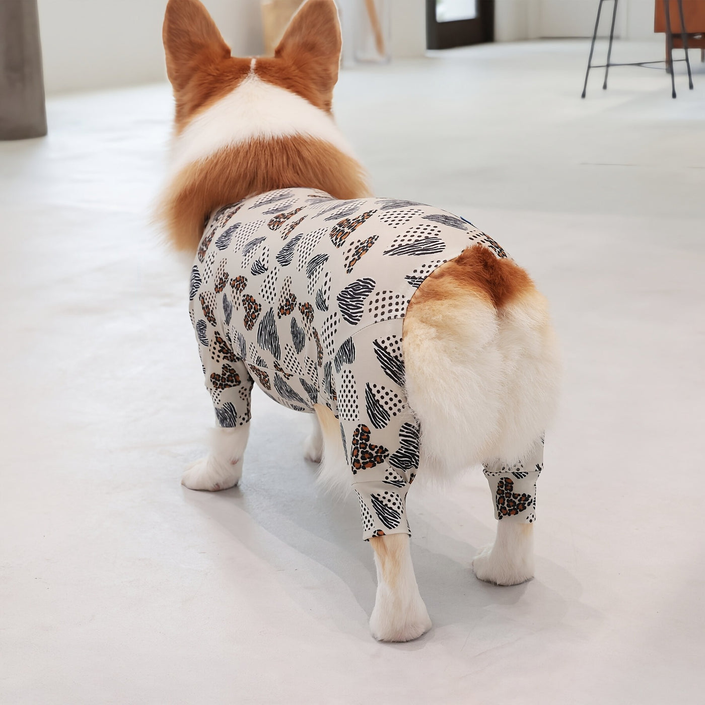 【新入荷】カラフルロンパース 胴長・短足わんちゃん向け