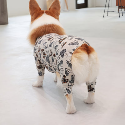 【新入荷】カラフルロンパース 胴長・短足わんちゃん向け