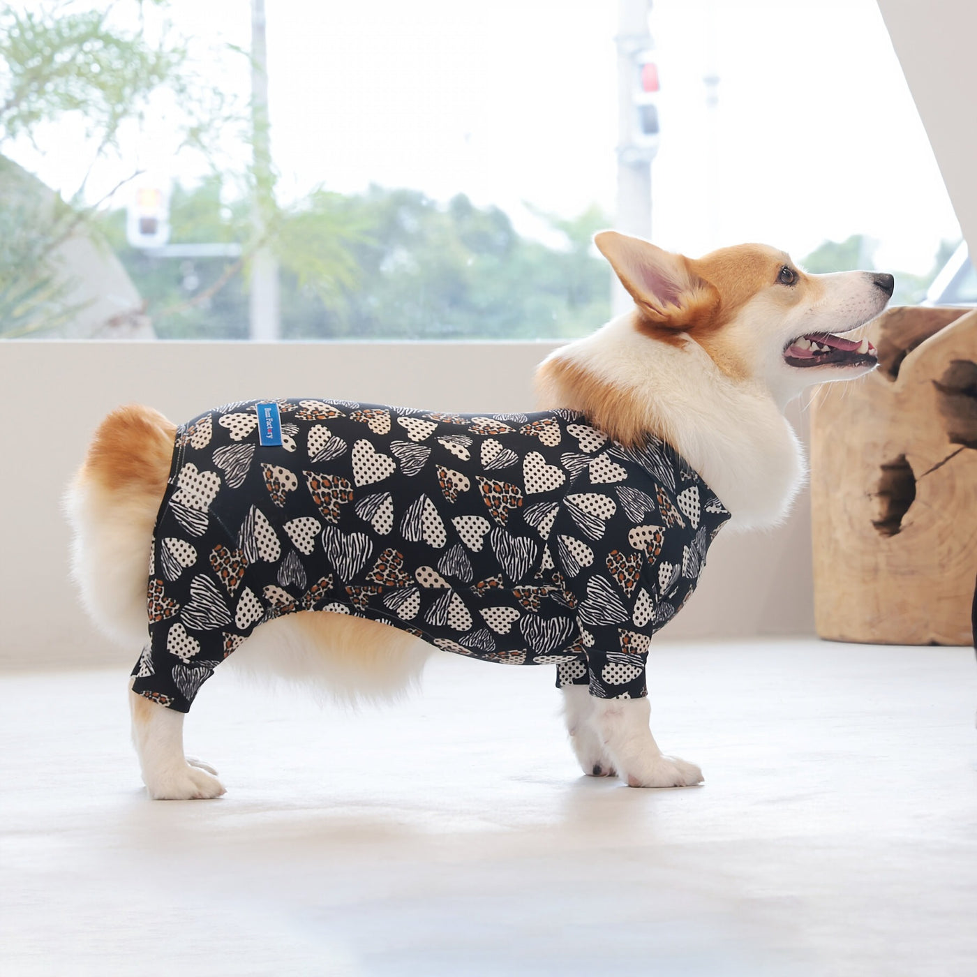 【新入荷】カラフルロンパース 胴長・短足わんちゃん向け