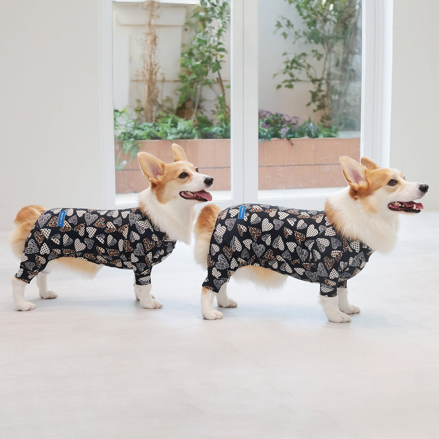 【新入荷】カラフルロンパース 胴長・短足わんちゃん向け