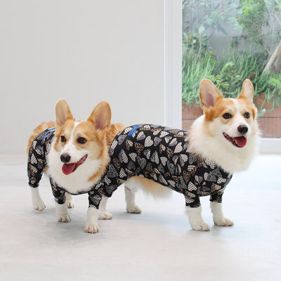 【新入荷】カラフルロンパース 胴長・短足わんちゃん向け