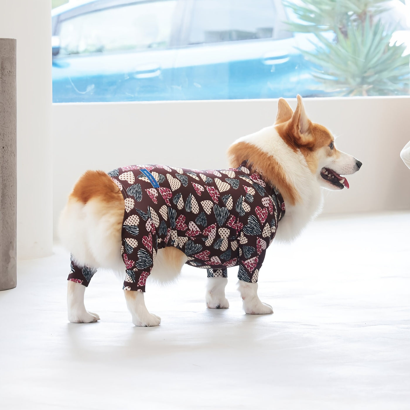 【新入荷】カラフルロンパース 胴長・短足わんちゃん向け