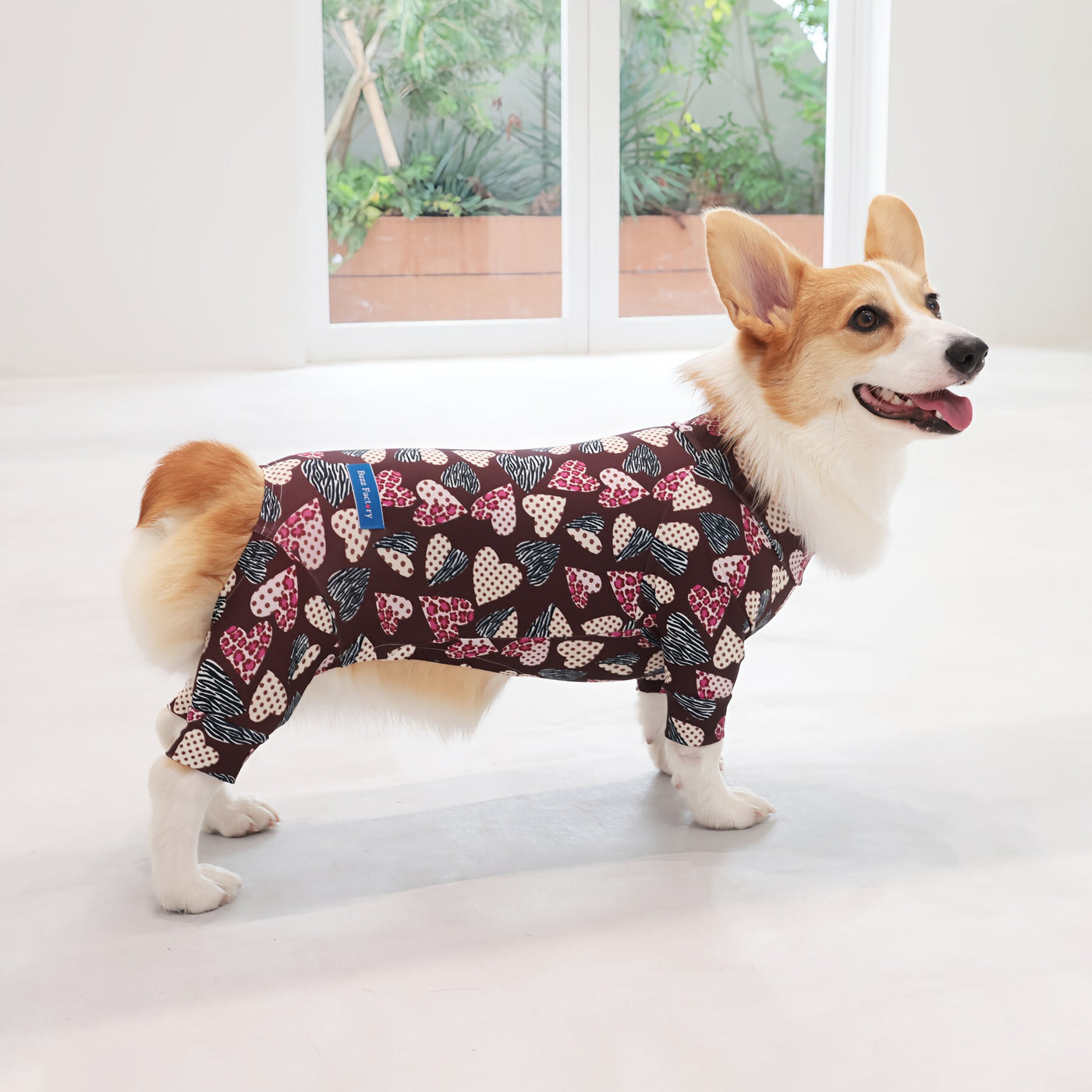 【新入荷】カラフルロンパース 胴長・短足わんちゃん向け