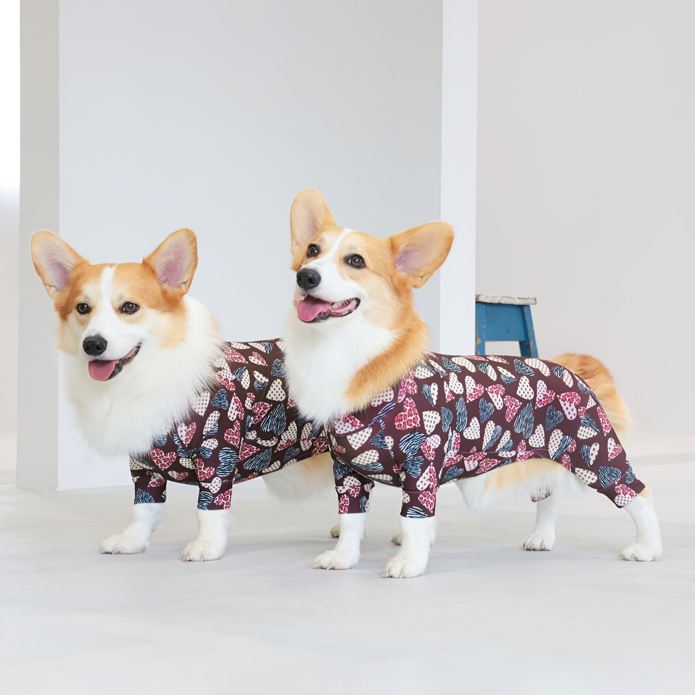 【新入荷】カラフルロンパース 胴長・短足わんちゃん向け