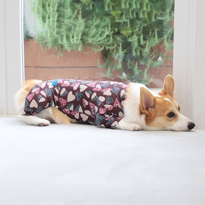 【新入荷】カラフルロンパース 胴長・短足わんちゃん向け