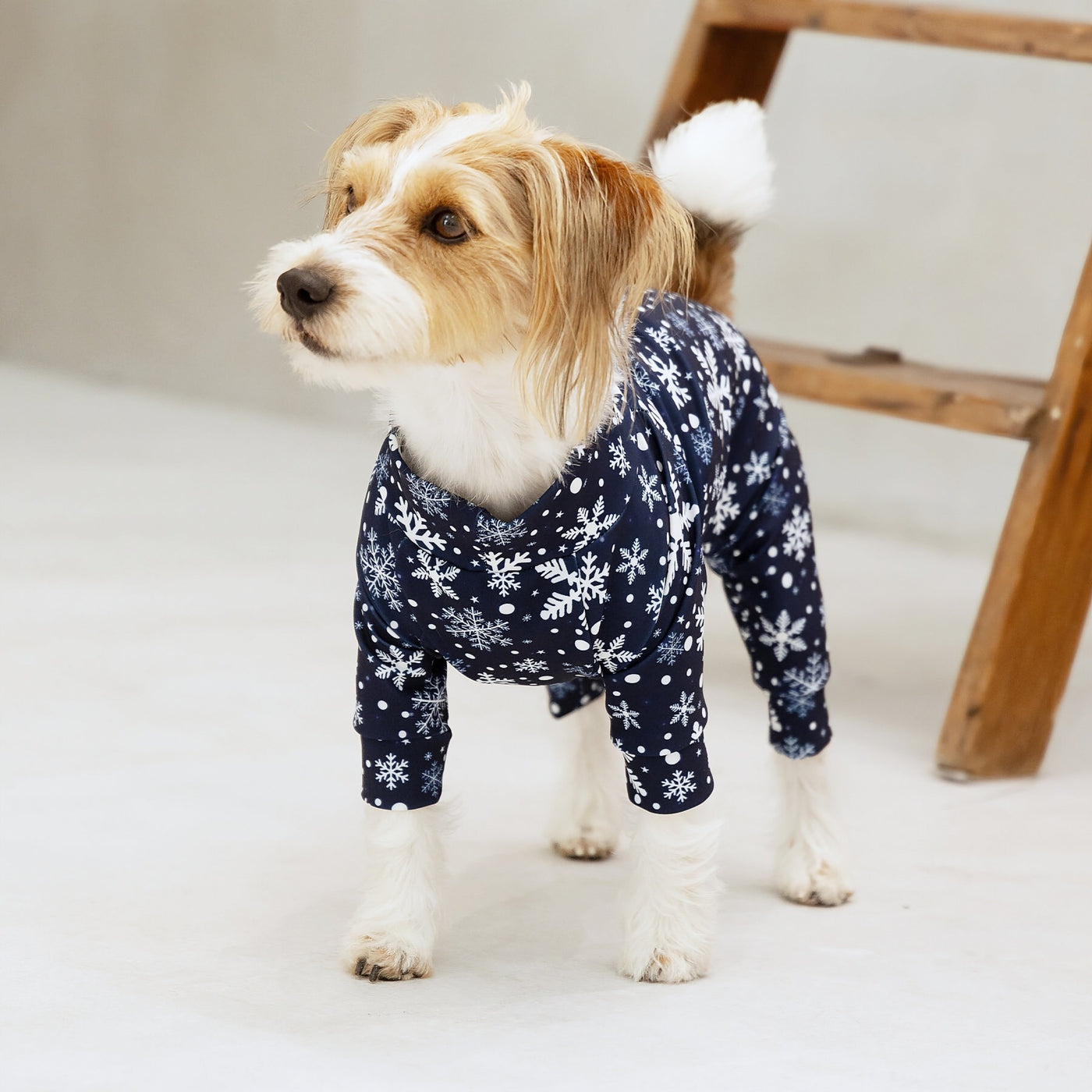 【再入荷】カラフルロンパース ナイトスノー