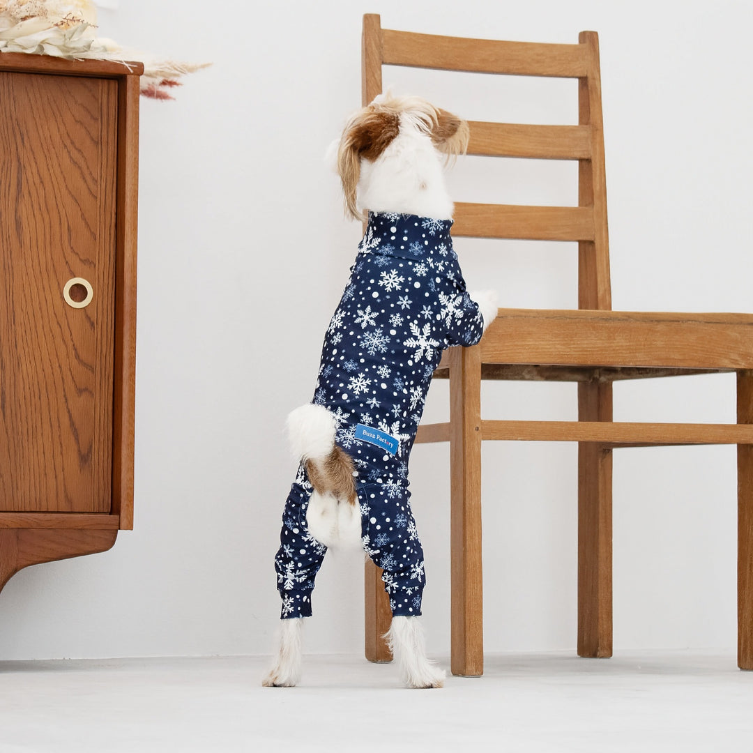 わんわん物語レディ　ナイトウェア・新品未使用パーカー2点セット Disney 犬 服 秋冬 セール パーカー ディズニー レディ 〔小型犬