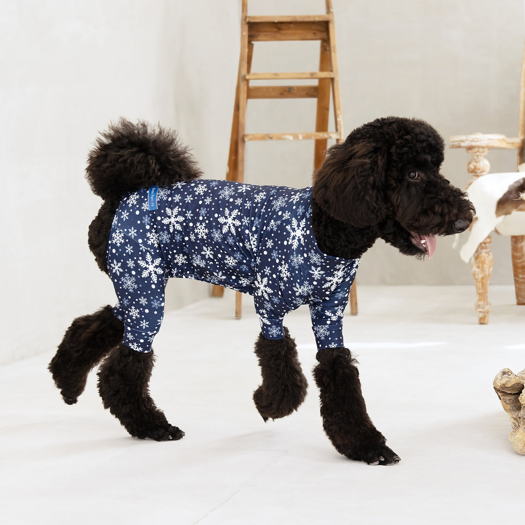 Buzz Factory カラフルロンパース ナイトスノー 日本製 ドッグ