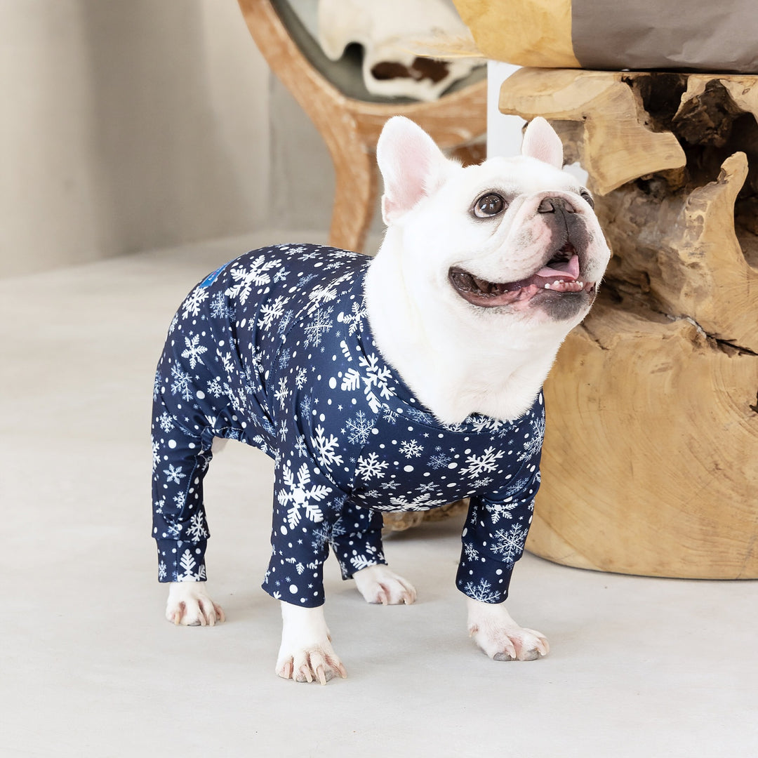 Buzz Factory カラフルロンパース ナイトスノー 日本製 ドッグ