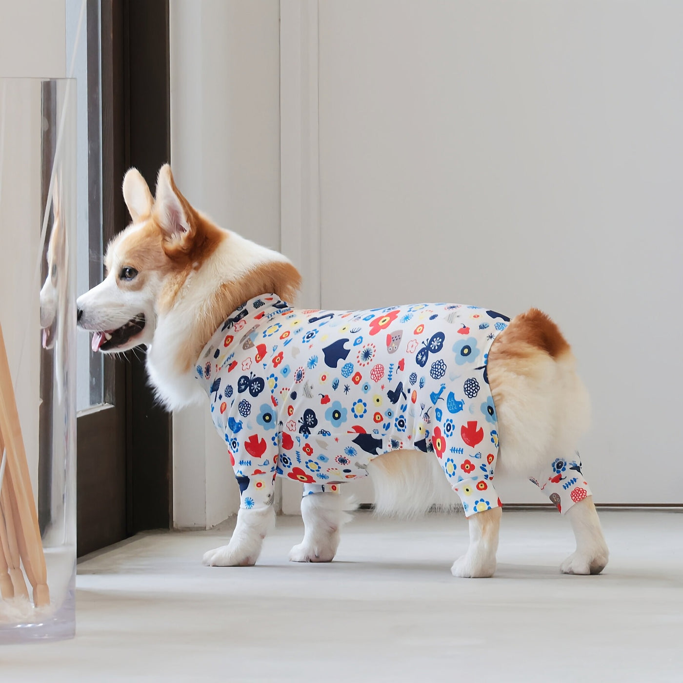 【新入荷】カラフルロンパース 胴長・短足わんちゃん向け