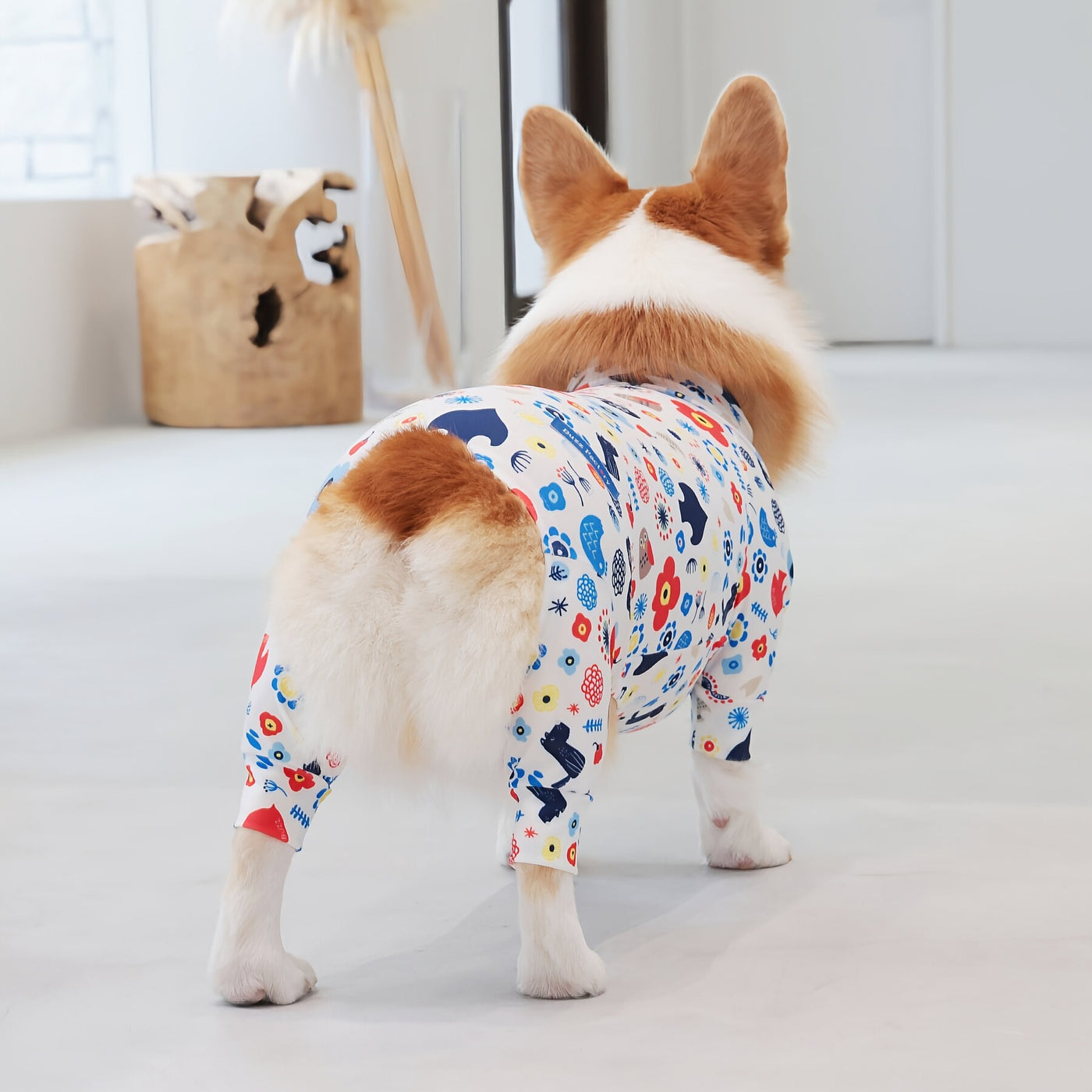 【新入荷】カラフルロンパース 胴長・短足わんちゃん向け