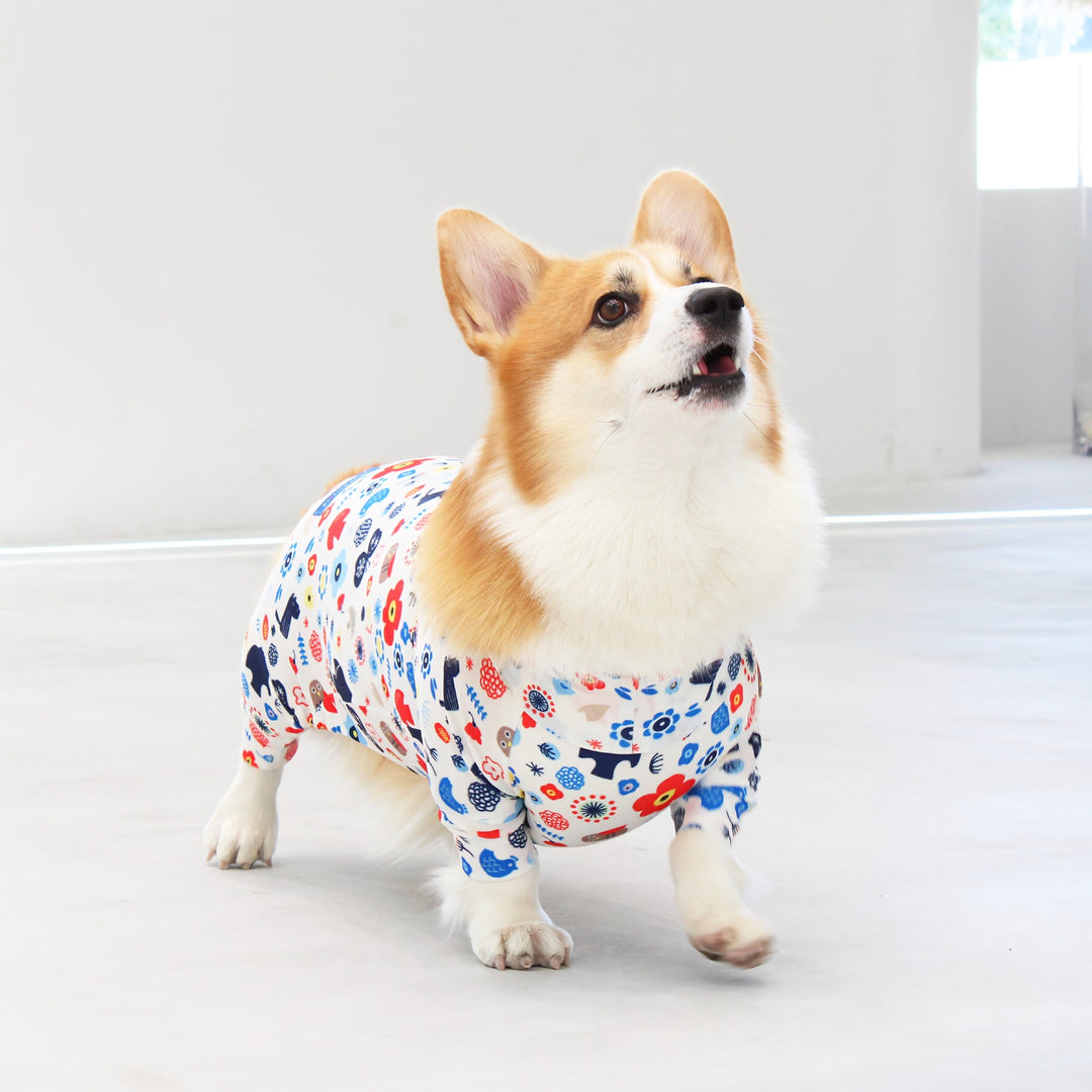 Buzz Factory バズファクトリー カラフルロンパース 胴長・短足わん