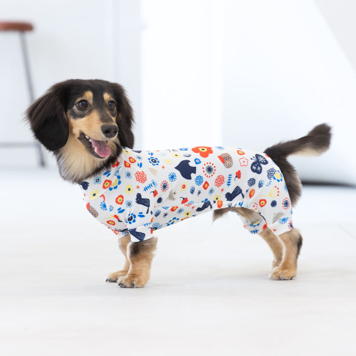 いぬい Buzz Factory バズファクトリー カラフルロンパース 北欧ポップ 日本製