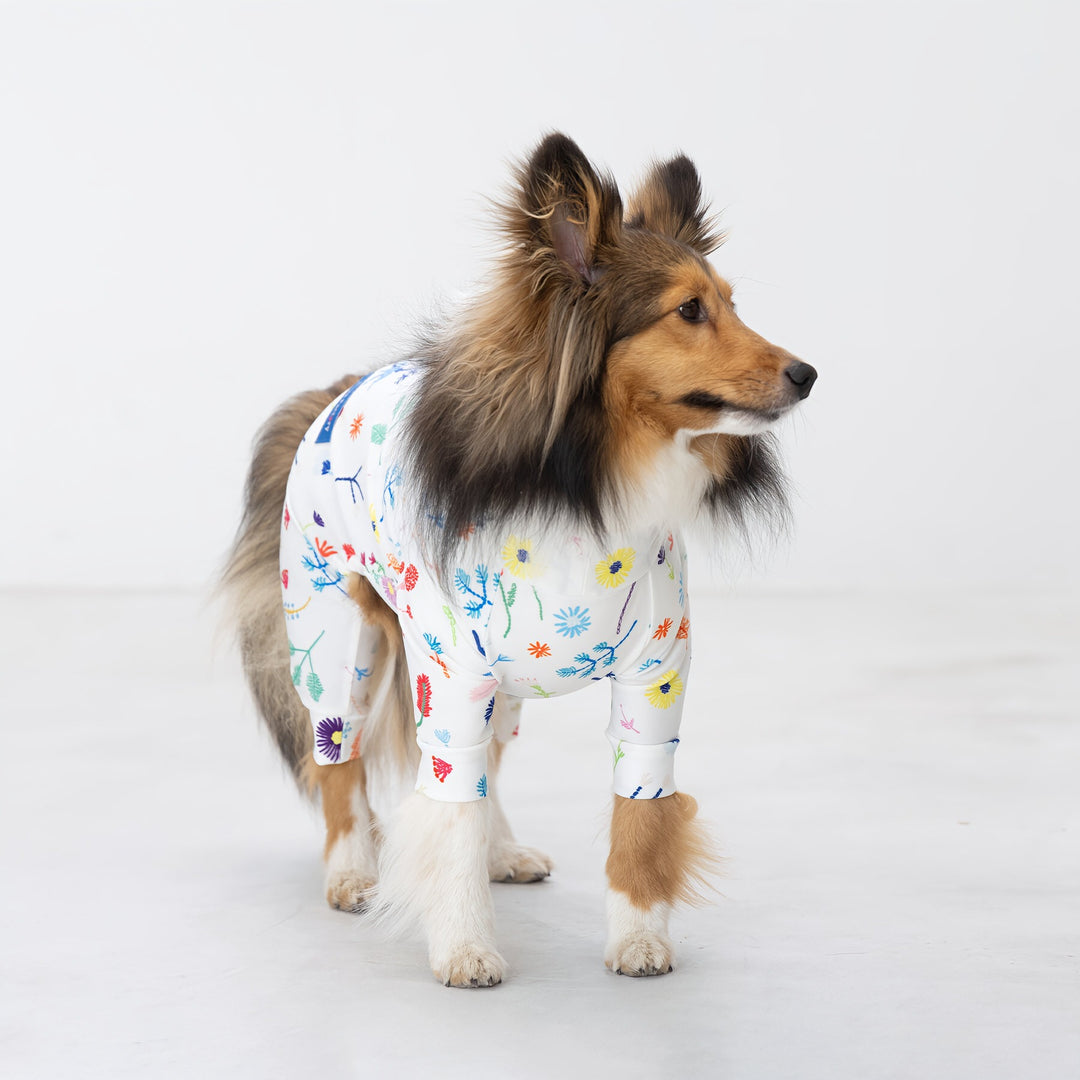 タカヒロ　わんこさん柄 COLLAR（首輪）／コールチェック：Toto & Pal（トトアンドパル）公式通販