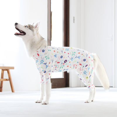 【新入荷】カラフルロンパース フラワーポップ