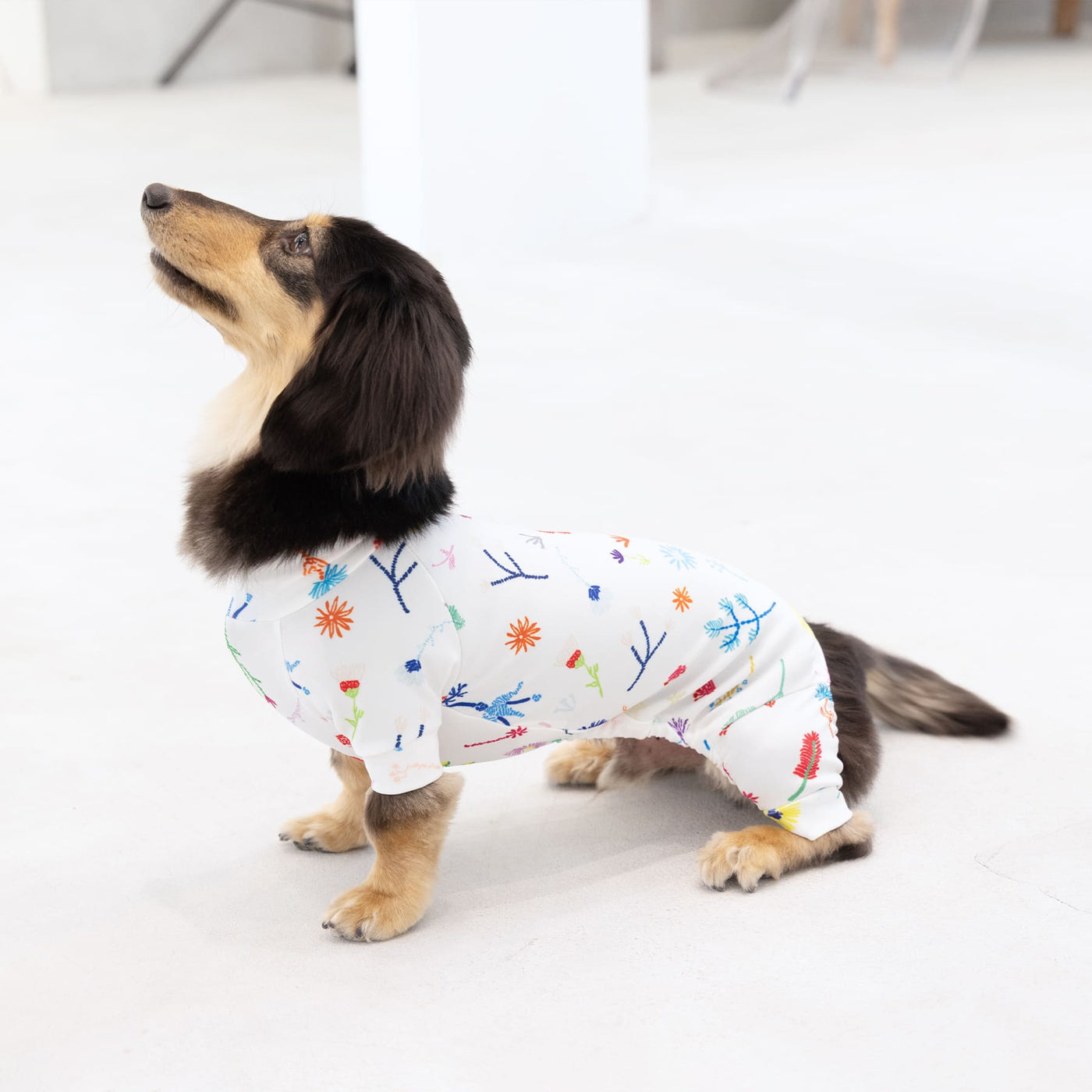 【新入荷】カラフルロンパース フラワーポップ