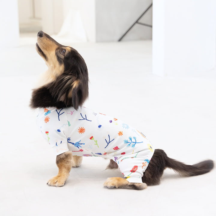 犬 アニサポ ちょっとだけだカラー ＜2025年3月新発売＞ – anifull