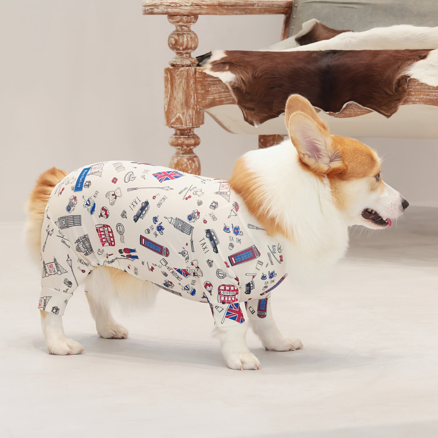 【新入荷】カラフルロンパース 胴長・短足わんちゃん向け