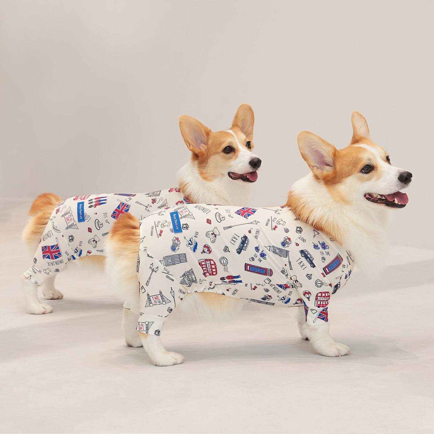 【新入荷】カラフルロンパース 胴長・短足わんちゃん向け