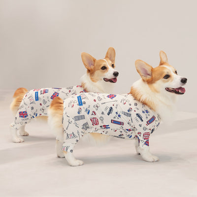 【新入荷】カラフルロンパース 胴長・短足わんちゃん向け