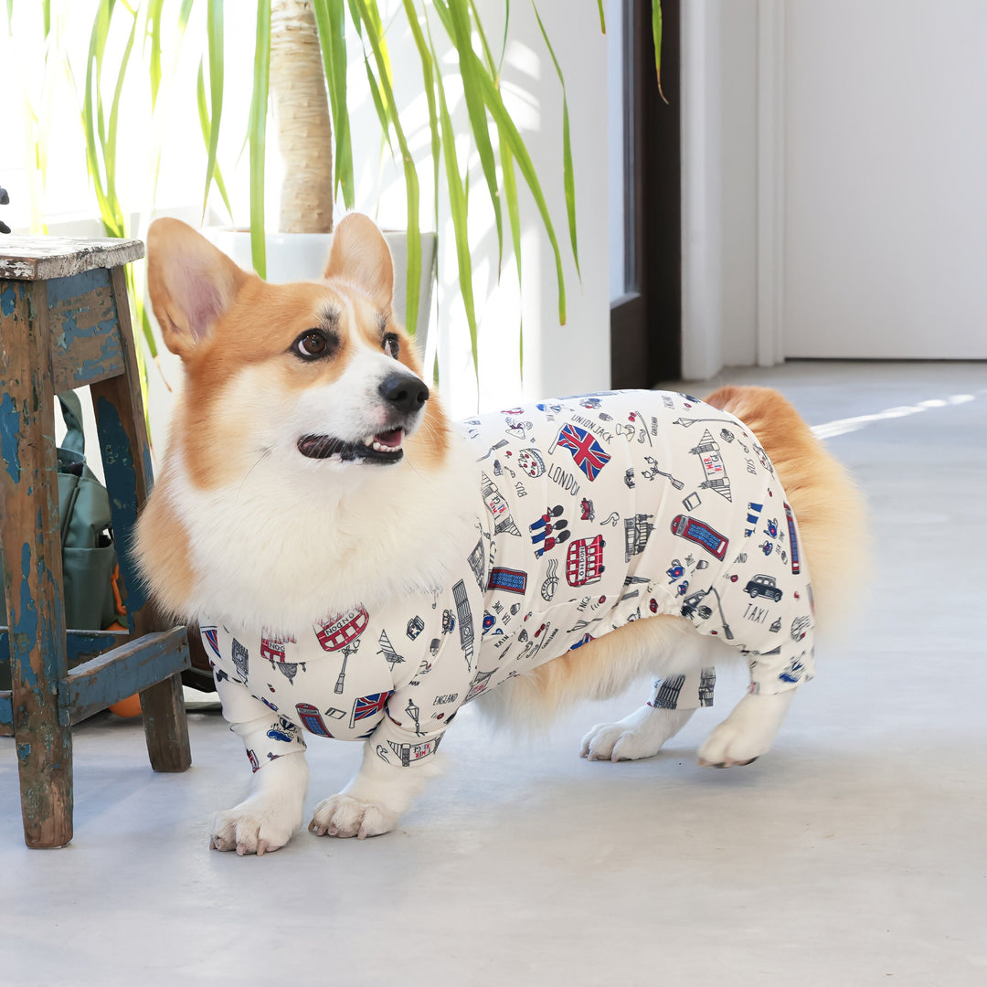 コーギーさま専用 Buzz Factory バズファクトリー カラフルロンパース 胴長・短足わん