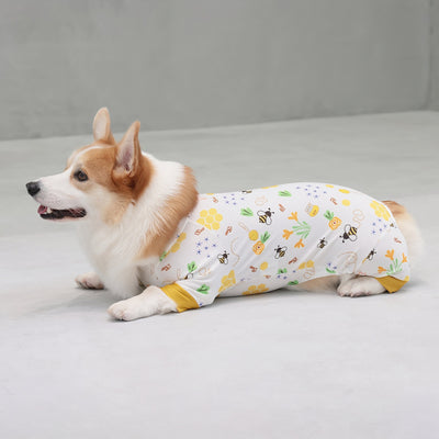 【新入荷】カラフルロンパース 胴長・短足わんちゃん向け