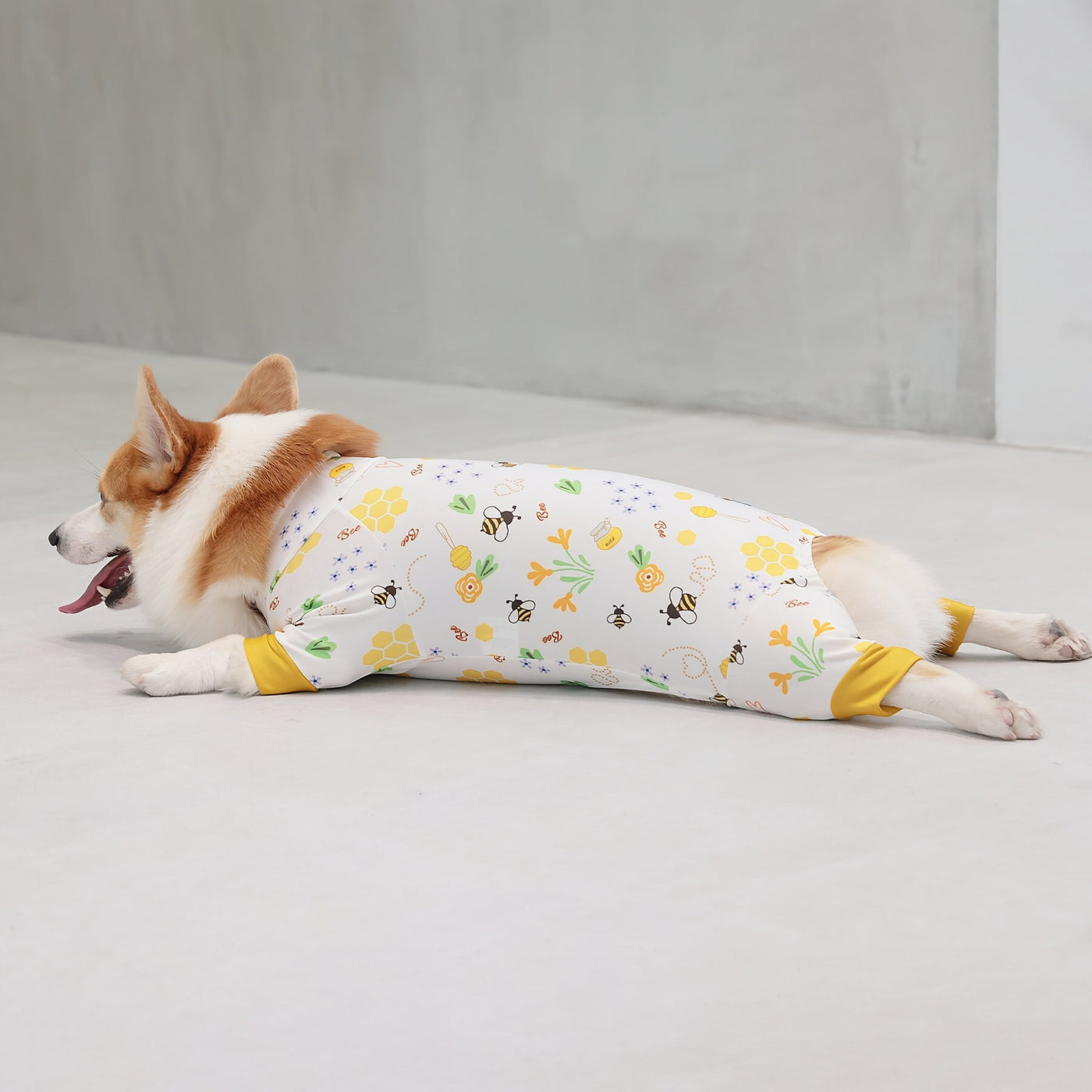 【新入荷】カラフルロンパース 胴長・短足わんちゃん向け