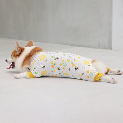 【新入荷】カラフルロンパース 胴長・短足わんちゃん向け